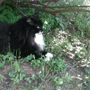 Meet your Posher, Bob